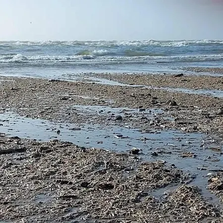 6 Person In Blavand-by Traum *