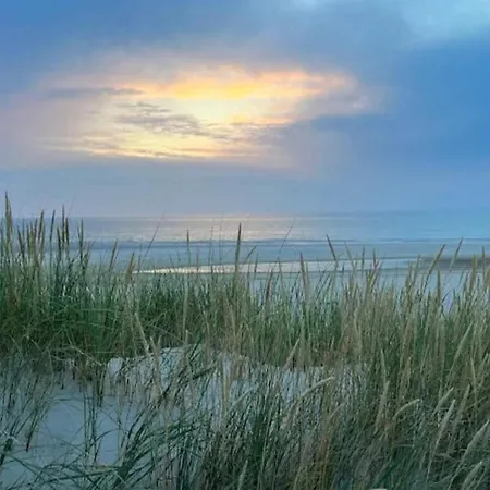 Feriehus 6 Person In Blavand-by Traum *