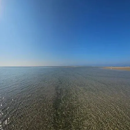 Feriehus 6 Person In Blavand-by Traum *