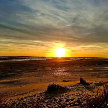 6 Person In Blavand-by Traum *